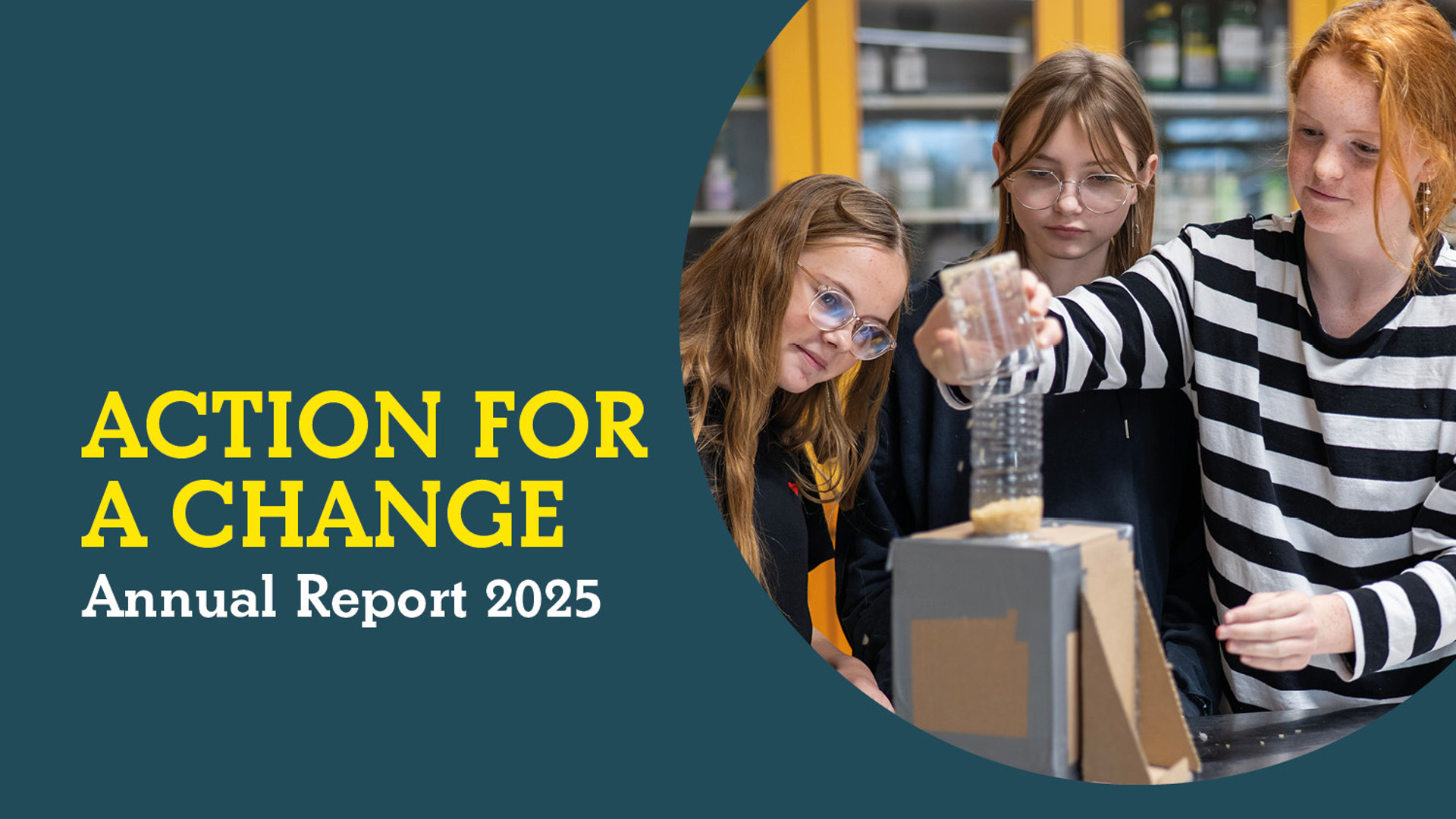 Annual report 2025